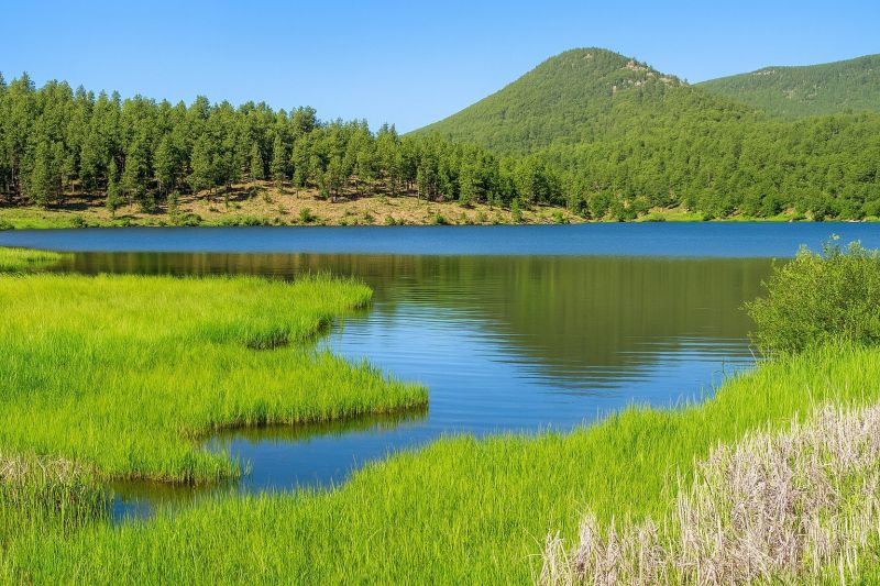 Best Siding Installation pros in Evergreen, CO